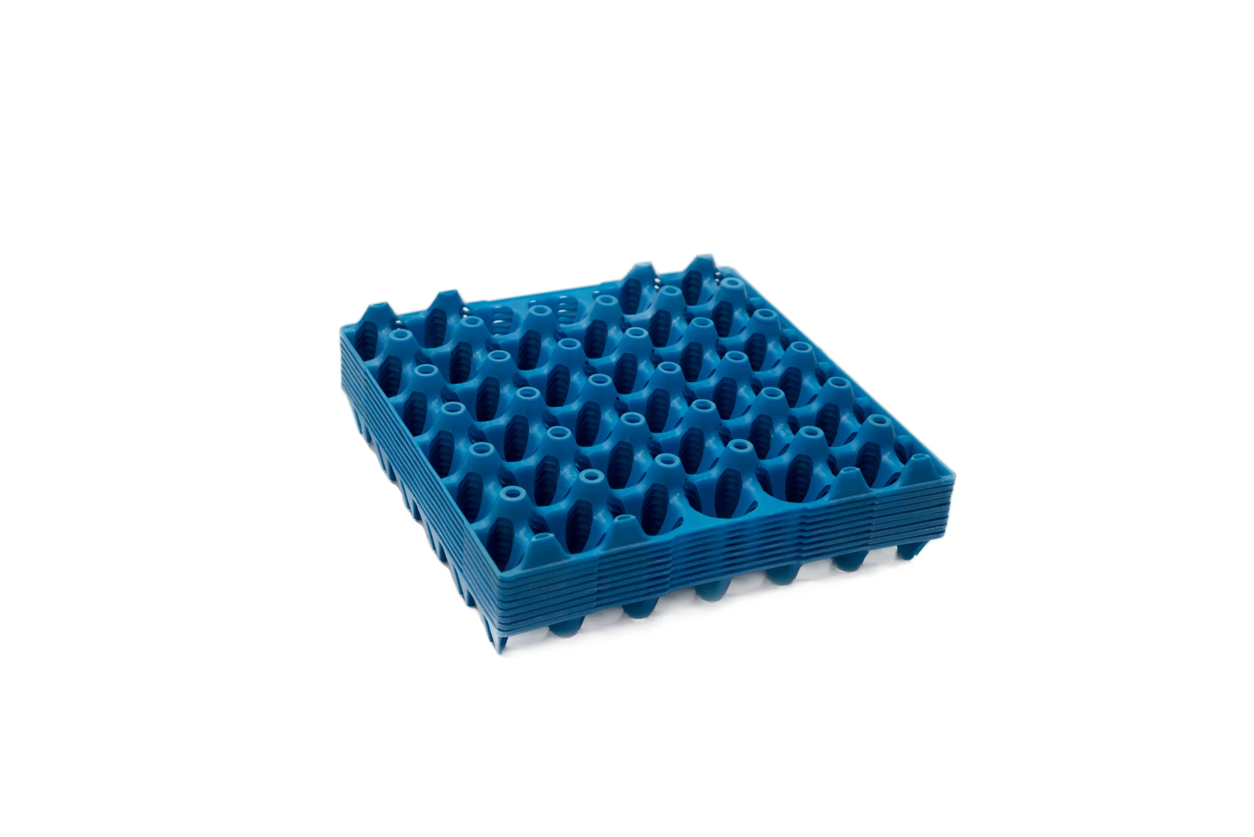 Plastic Egg Tray-blue