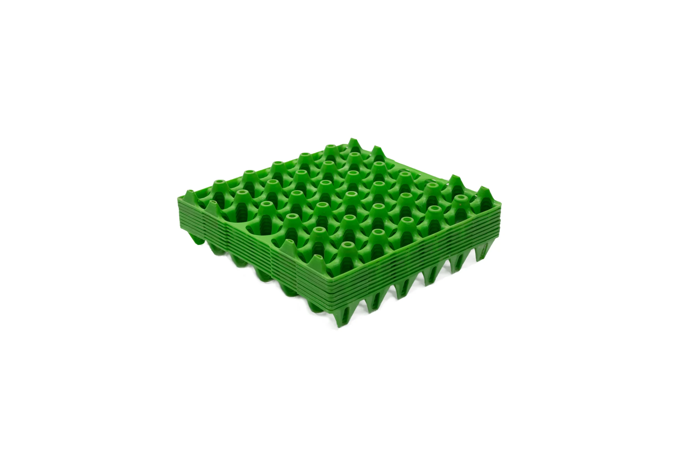 Plastic Egg Tray - 5X6 Jumbo